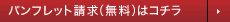 ޻޲݌ گ
