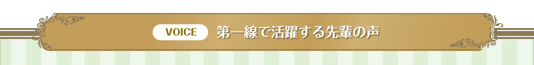 第一線で活躍する先輩の声