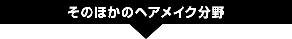 そのほかのヘアメイク分野