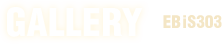 GALLERY / EBi303