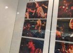 【フォト 在校生情報！】福田さんが撮影した”コンテンポラリーな生活”のライブ写真パネル展がタワーレコード新宿店で開催中！